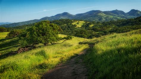 Pacheco State Park – renae.org