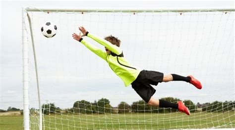 The Complete Goalkeeper Training Guide (Drills and Tips)