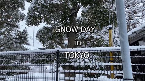 Snow Day in Tokyo | Tokyo Snow 2022 | Snow in Tokyo Japan - YouTube