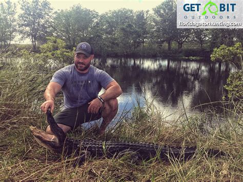 Gator Hunts Gallery – Trophy Florida Gator Hunting By Get Bit Outdoors