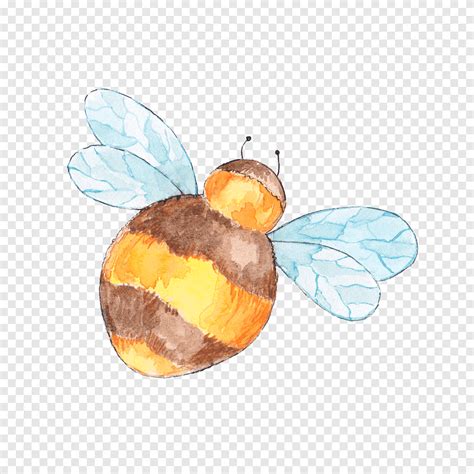 Drawing Maya Apidae, bee, watercolor Painting, honey Bee png | PNGEgg