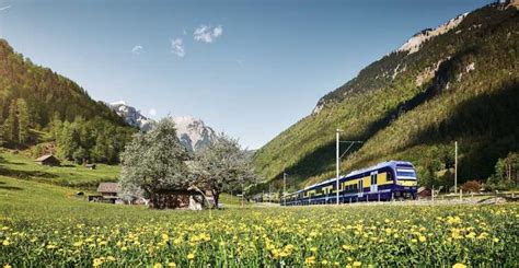 The BEST Grindelwald Tours and Things to Do in 2024 - FREE Cancellation ...