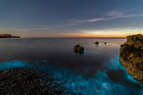 Photographer Captures the Beauty of Bioluminescent Plankton | PetaPixel