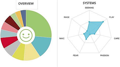 Frontiers | Affective Neuroscience: The Suitability of a Web App to ...