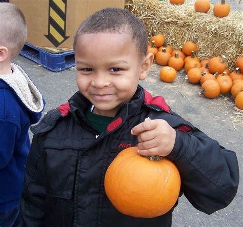 Carve Out Some Fun: 14 Pumpkin Patches to Pick-Your-Own