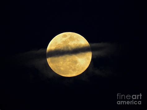 Ring Around the Moon Photograph by Kate Purdy - Fine Art America