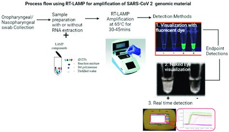 Using RT-LAMP for the diagnosis of COVID-19. Created with BioRender.com... | Download Scientific ...