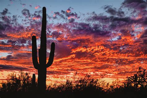 Arizona Sunset Photograph by Chance Kafka