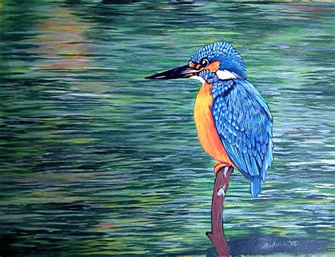 Kingfisher Painting at PaintingValley.com | Explore collection of ...