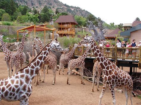 Cheyenne Mountain Zoo, Colorado Springs, Colorado, USA - Heroes Of Adventure