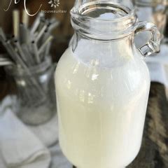 Raw Coconut Milk (using shredded coconut) | Nouveau Raw