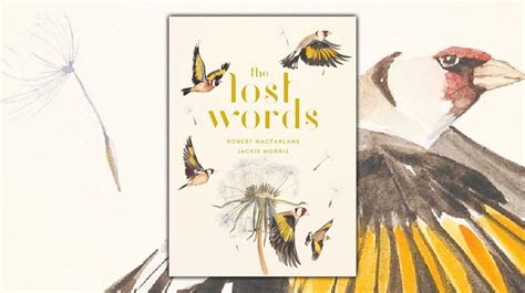 'The Lost Words' by Robert Macfarlane and Jackie Morris — Tools and Toys