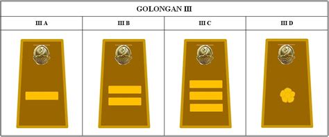 Mengenal Tanda Pangkat PNS / ASN Terbaru - TozSugianto