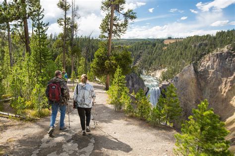 Hiking & Camping Tour in Yellowstone, Grand Teton | 57hours