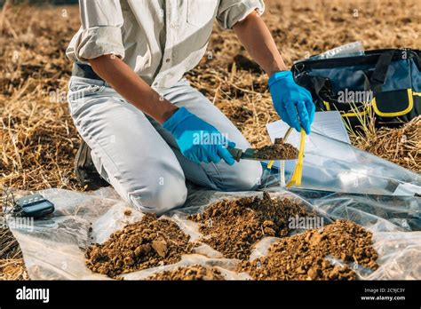 Soil sample in bag hi-res stock photography and images - Alamy