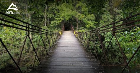 10 Best trails and hikes in Mississippi | AllTrails