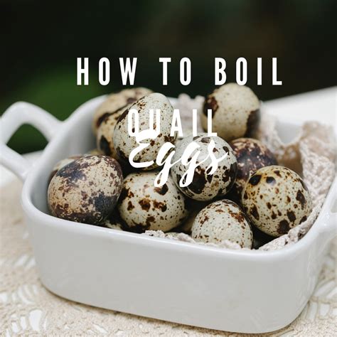 How to boil quail eggs - HeAll