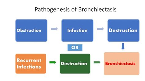 Pathology of BRONCHIECTASIS - Pathology Made Simple