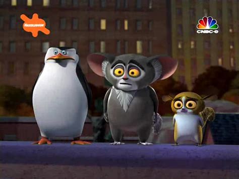 Skipper B/ - Penguins of Madagascar Photo (32442175) - Fanpop