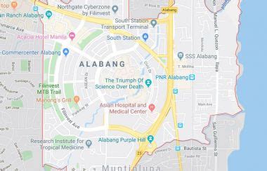 Lot For Sale in Alabang, Muntinlupa City