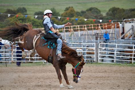 Download Cowboy Horse Rodeo Sports HD Wallpaper by skeeze