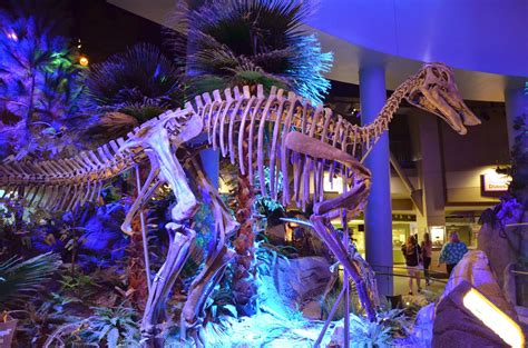 Midwest Family Traveler: Dinosphere at Children's Museum of ...