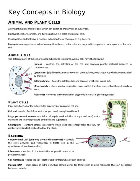 Key Concepts in Biology Pt 1 - Key Concepts in Biology ANIMAL AND PLANT ...