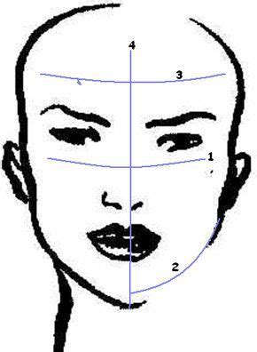 Face Shape: How to Determine Your Face Shape photo for eyebrow shapes Long Face Shapes, Long ...