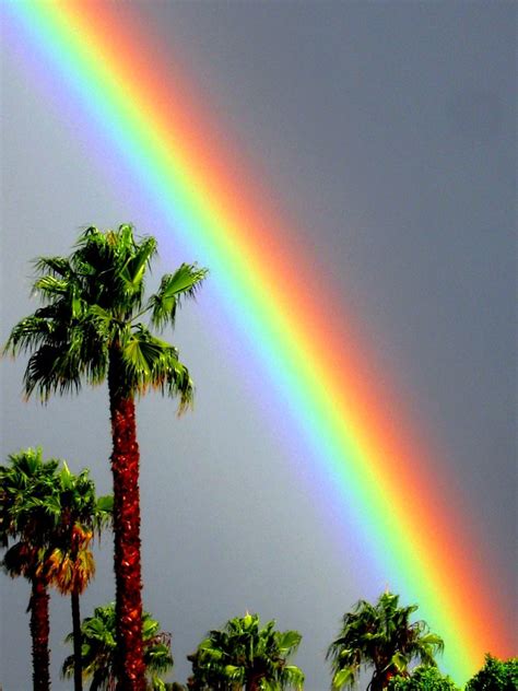 California Rainbow | After five days of nonstop rain the sun… | Flickr