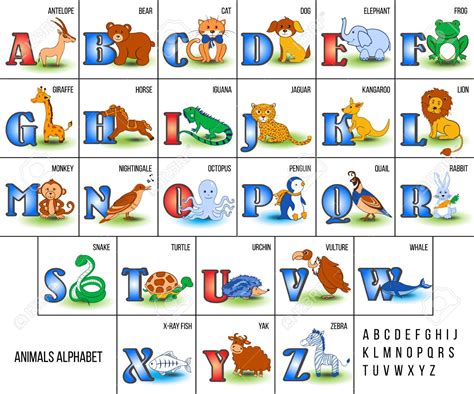 Alphabet De Zoo Mignon Avec Des Animaux De Bande Dessinée De L ...