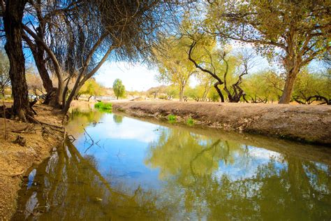 Prehistoric Hohokam Irrigation Canals, Phoenix Metro – Arizona Jones