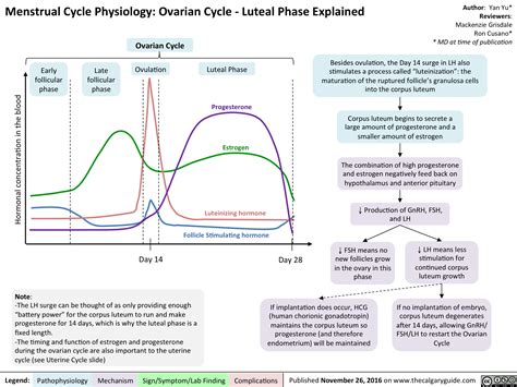 Menstrual Cycle Physiology: Ovarian Cycle – Luteal Phase Explained ...