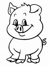 Baby Pig Coloring Page sketch template
