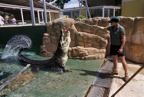 Crocosaurus Cove is Darwin's snappiest attraction : NT attraction guide ...