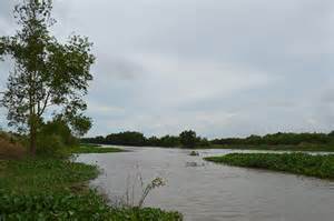 Lang Sen wetlands project in Vietnam | WWF