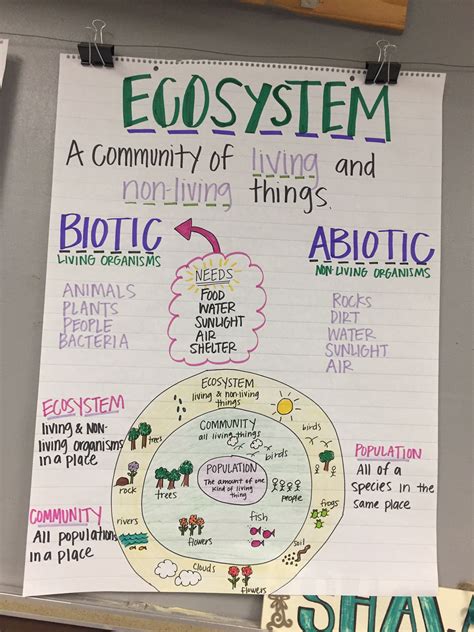 Ecosystem Anchor Chart