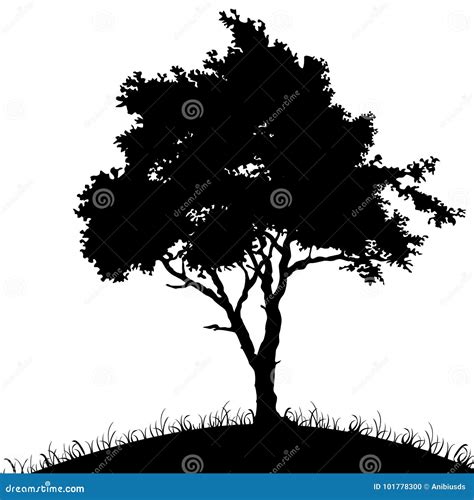 Shadow of a tree, stock vector. Illustration of nature - 101778300