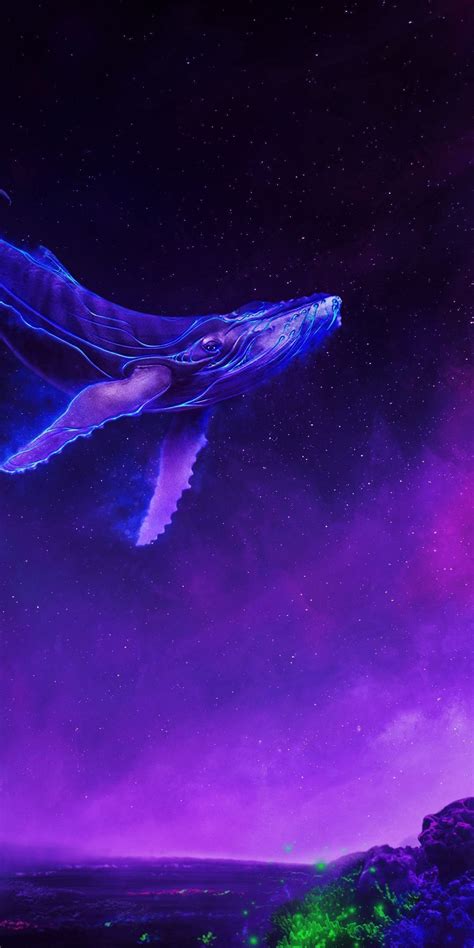 Space Whale Wallpapers - Top Free Space Whale Backgrounds - WallpaperAccess