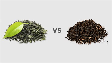 Green Tea vs. Black Tea: What You Should Know About These Popular Teas ...