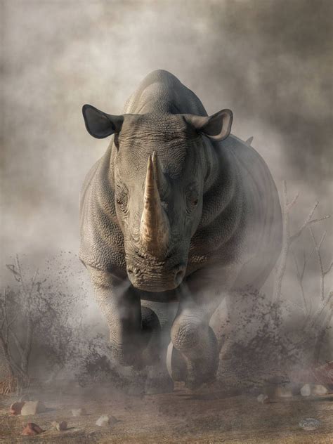 Charging Rhino by deskridge on DeviantArt | Rhino pictures, Rhino art ...