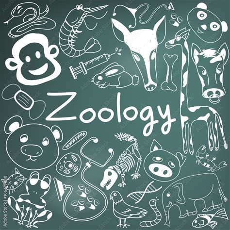 Vetor do Stock: Zoology biology doodle handwriting icons of animal species and education tools ...