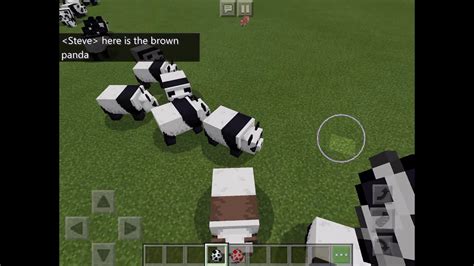 how rare is a brown panda in minecraft exactly? - YouTube