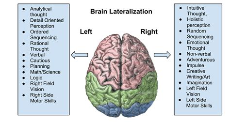 Piece Of Brain Emotional