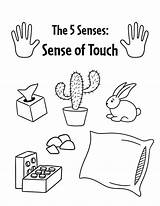 Coloring Pages For Senses sketch template