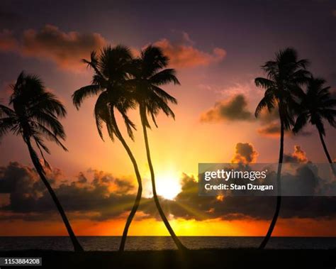 657 Naples Florida Sunset Stock Photos, High-Res Pictures, and Images ...