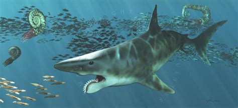 Explore the Best Helicoprion Art | DeviantArt