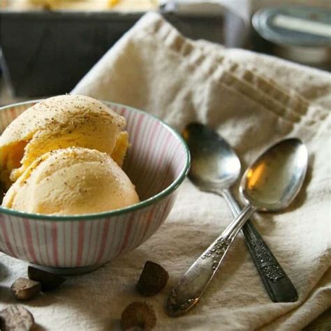 Eggnog Ice Cream {5 Minute Method} Foodie with Family