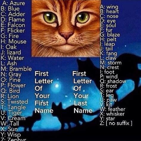 an orange cat with green eyes sitting in front of a blue background that says first letter of ...