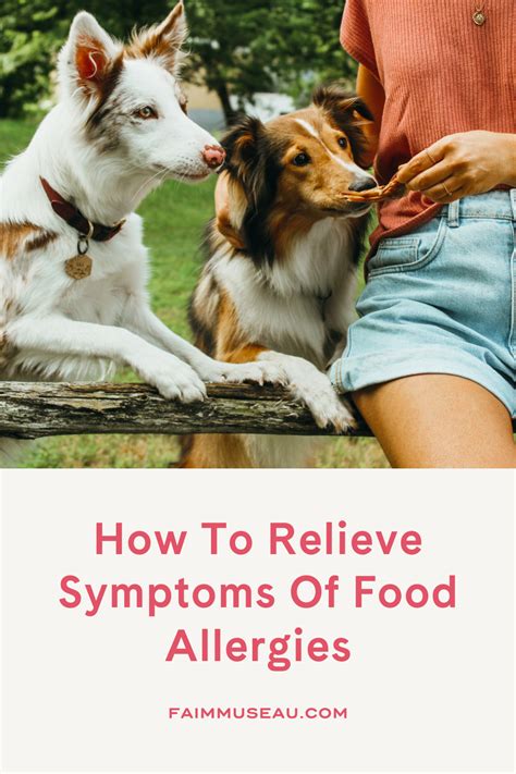 Hypoallergenic Raw Dog Food with Duck | Faim Museau | Signs of food ...