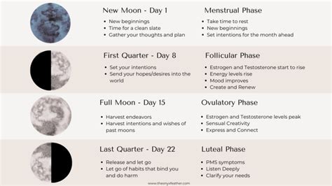 Moon Phases and Your Menstrual Cycle — The Onyx Feather | Menstrual ...